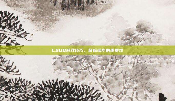 CSGO游戏技巧,鼠标操作的重要性
