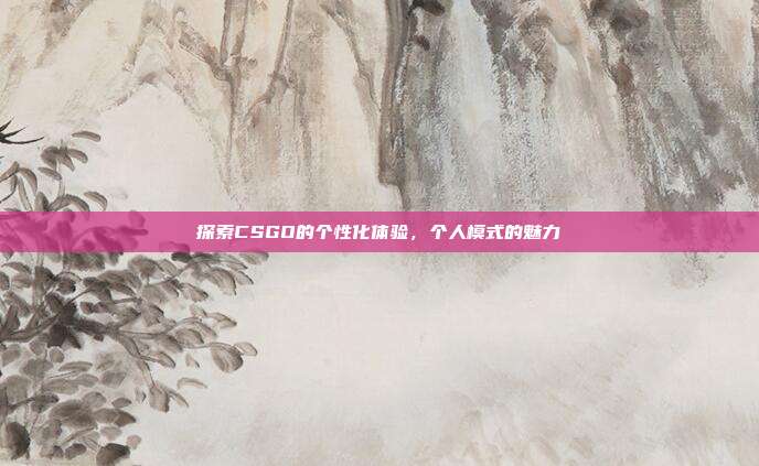探索CSGO的个性化体验,个人模式的魅力