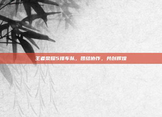 王者荣耀5排车队,团结协作,共创辉煌