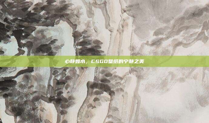 心静如水,CSGO壁纸的宁静之美