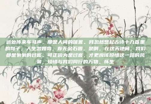 远处传来车马声,那是人间的喧嚣。我忽然想起古诗十九首里的句子,人生忽如寄,寿无金石固。是啊,在这天地间,我们都是匆匆的过客。可正因为是过客,才更应该珍惜这一路的风景,珍惜与我们同行的万物。怀生
