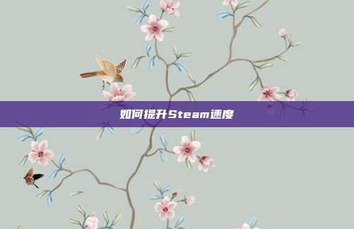 如何提升Steam速度