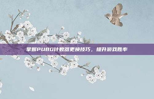 掌握PUBG计数器更换技巧,提升游戏胜率
