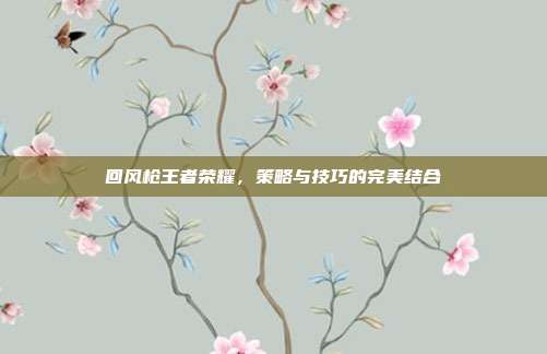 回风枪王者荣耀,策略与技巧的完美结合