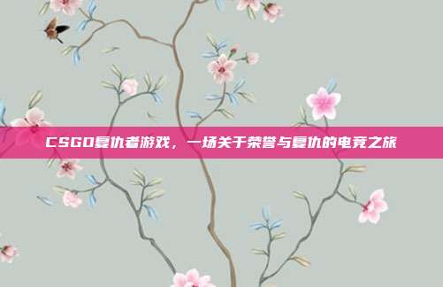 CSGO复仇者游戏，一场关于荣誉与复仇的电竞之旅