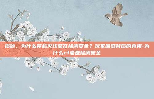 揭秘,为什么穿越火线总在检测安全?玩家困惑背后的真相-为什么cf老是检测安全
