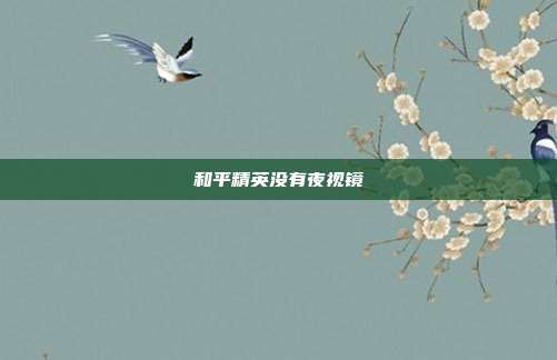 和平精英没有夜视镜