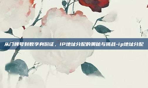从门牌号到数字身份证,IP地址分配的奥秘与挑战-ip地址分配
