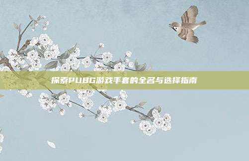 探索PUBG游戏手套的全名与选择指南
