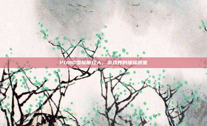 PUBG国际服红人，游戏界的璀璨明星