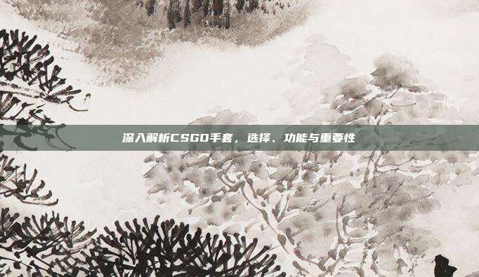 深入解析CSGO手套，选择、功能与重要性
