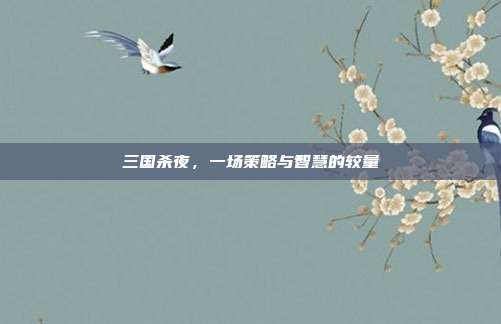三国杀夜，一场策略与智慧的较量