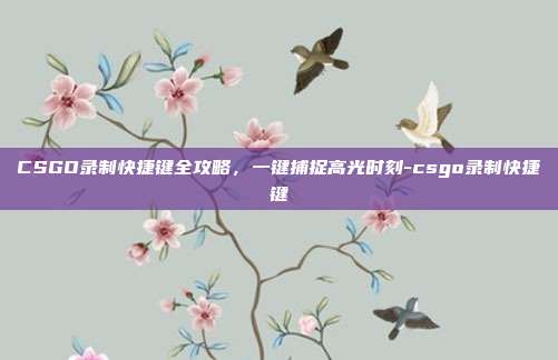 CSGO录制快捷键全攻略,一键捕捉高光时刻-csgo录制快捷键