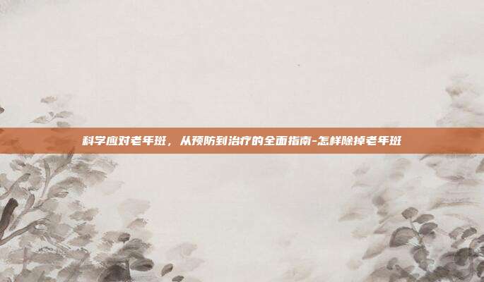 科学应对老年斑,从预防到治疗的全面指南-怎样除掉老年斑