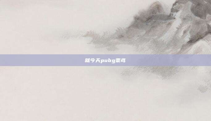就今天pubg栗鸢
