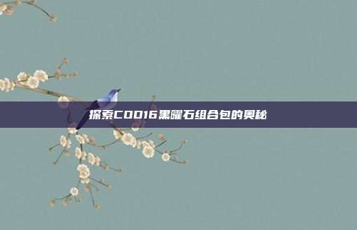 探索COD16黑曜石组合包的奥秘