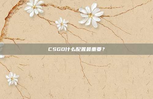 CSGO什么配置最重要?