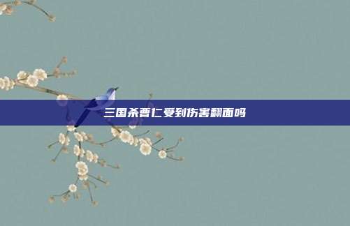 三国杀曹仁受到伤害翻面吗