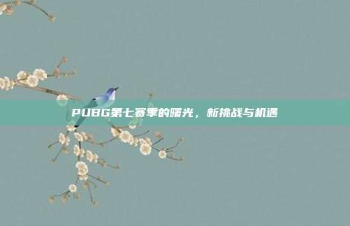 PUBG第七赛季的曙光，新挑战与机遇