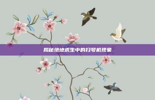 揭秘绝地求生中的扫号机现象