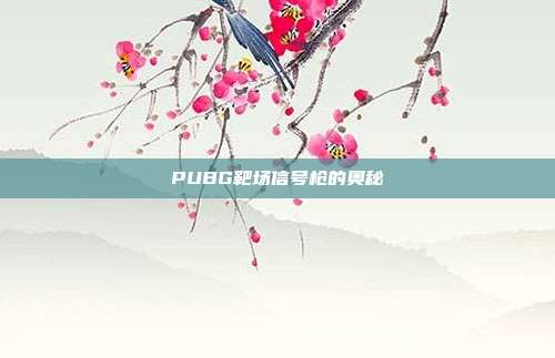 PUBG靶场信号枪的奥秘