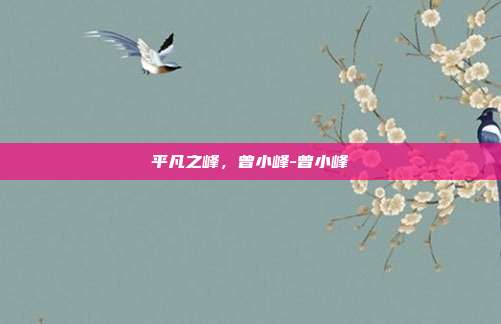 平凡之峰，曾小峰-曾小峰
