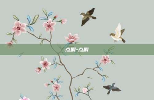 点刷-点刷