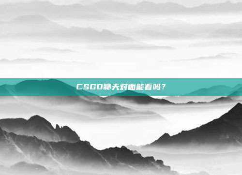 CSGO聊天对面能看吗？