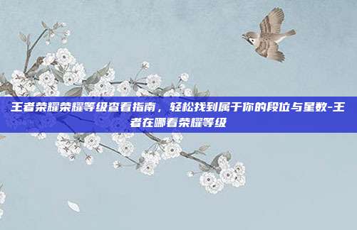王者荣耀荣耀等级查看指南，轻松找到属于你的段位与星数-王者在哪看荣耀等级