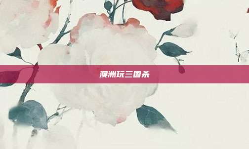 澳洲玩三国杀