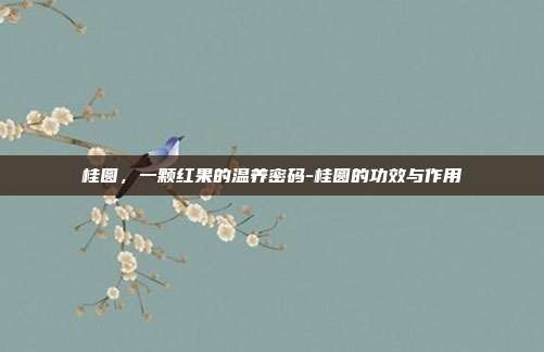 桂圆，一颗红果的温养密码-桂圆的功效与作用