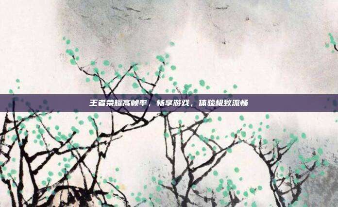 王者荣耀高帧率，畅享游戏，体验极致流畅