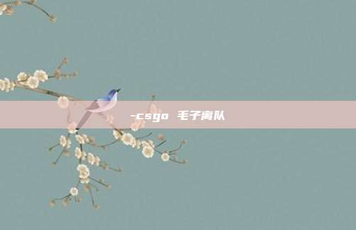 -csgo 毛子离队