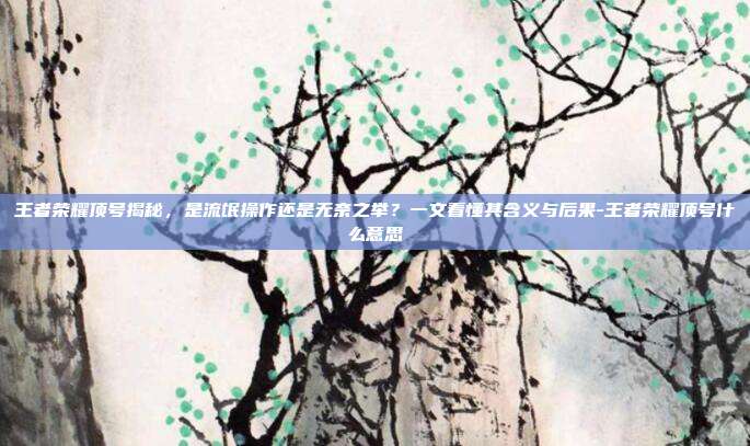 王者荣耀顶号揭秘，是流氓操作还是无奈之举？一文看懂其含义与后果-王者荣耀顶号什么意思