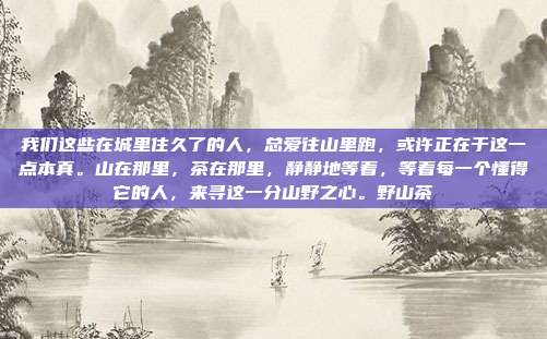 我们这些在城里住久了的人，总爱往山里跑，或许正在于这一点本真。山在那里，茶在那里，静静地等着，等着每一个懂得它的人，来寻这一分山野之心。野山茶