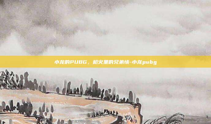 小龙的PUBG，枪火里的兄弟情-小龙pubg