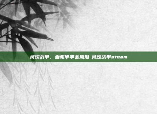 灵魂战甲，当机甲学会流泪-灵魂战甲steam