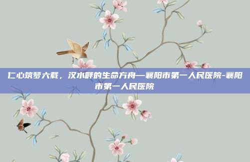 仁心筑梦六载，汉水畔的生命方舟—襄阳市第一人民医院-襄阳市第一人民医院