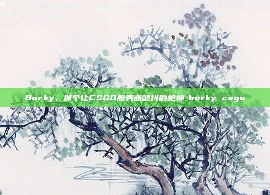 Borky，那个让CSGO服务器颤抖的枪神-borky csgo