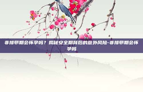 非排卵期会怀孕吗？揭秘安全期背后的意外风险-非排卵期会怀孕吗