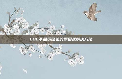 LOL不显示经验的原因及解决方法