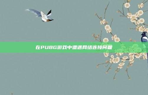 在PUBG游戏中遭遇网络连接问题