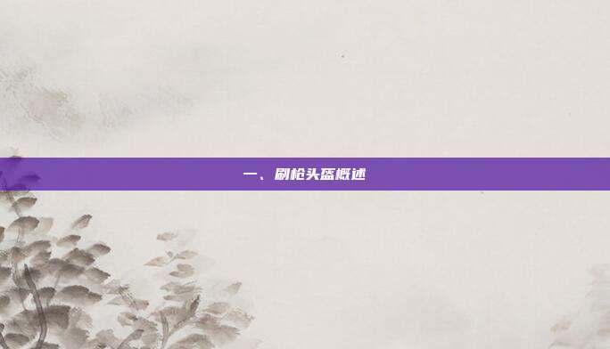 一、刷枪头盔概述