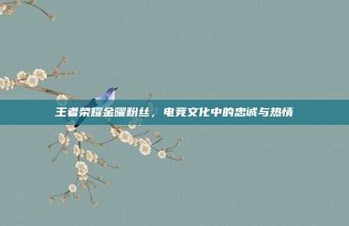 王者荣耀金曜粉丝，电竞文化中的忠诚与热情