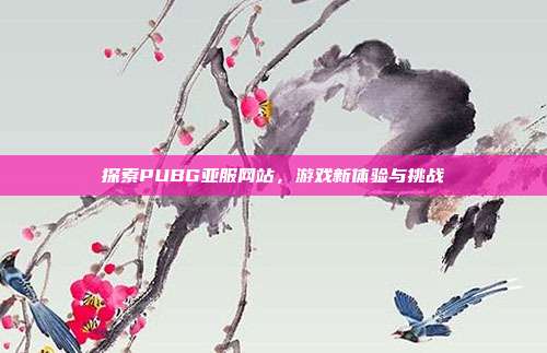 探索PUBG亚服网站，游戏新体验与挑战