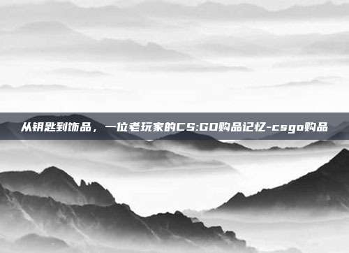 从钥匙到饰品,一位老玩家的CS:GO购品记忆-csgo购品