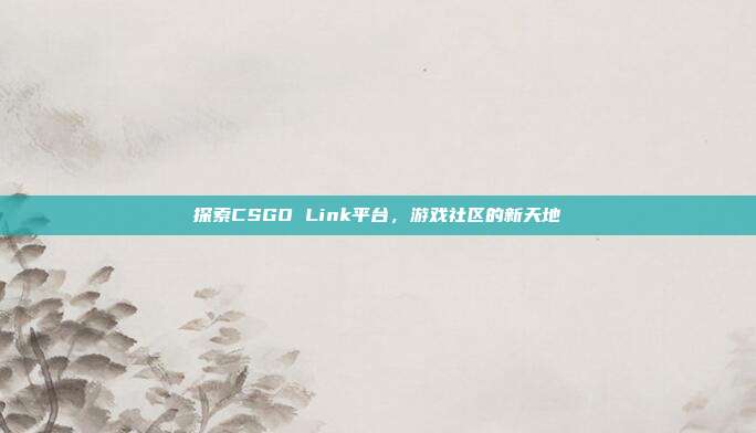 探索CSGO Link平台，游戏社区的新天地