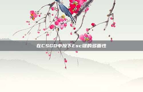 在CSGO中按下Esc键的多面性