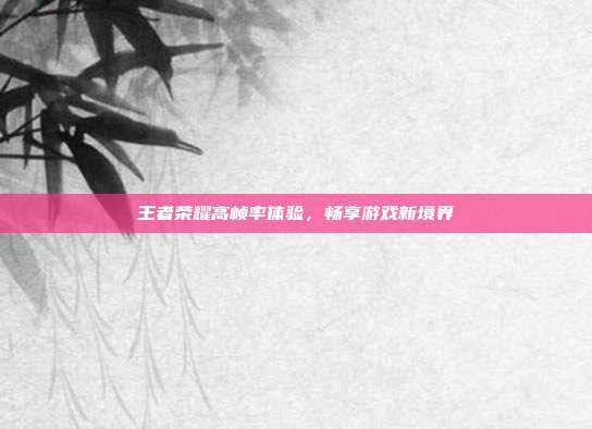 王者荣耀高帧率体验，畅享游戏新境界