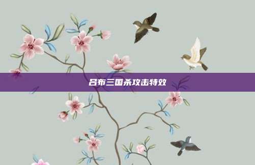 吕布三国杀攻击特效